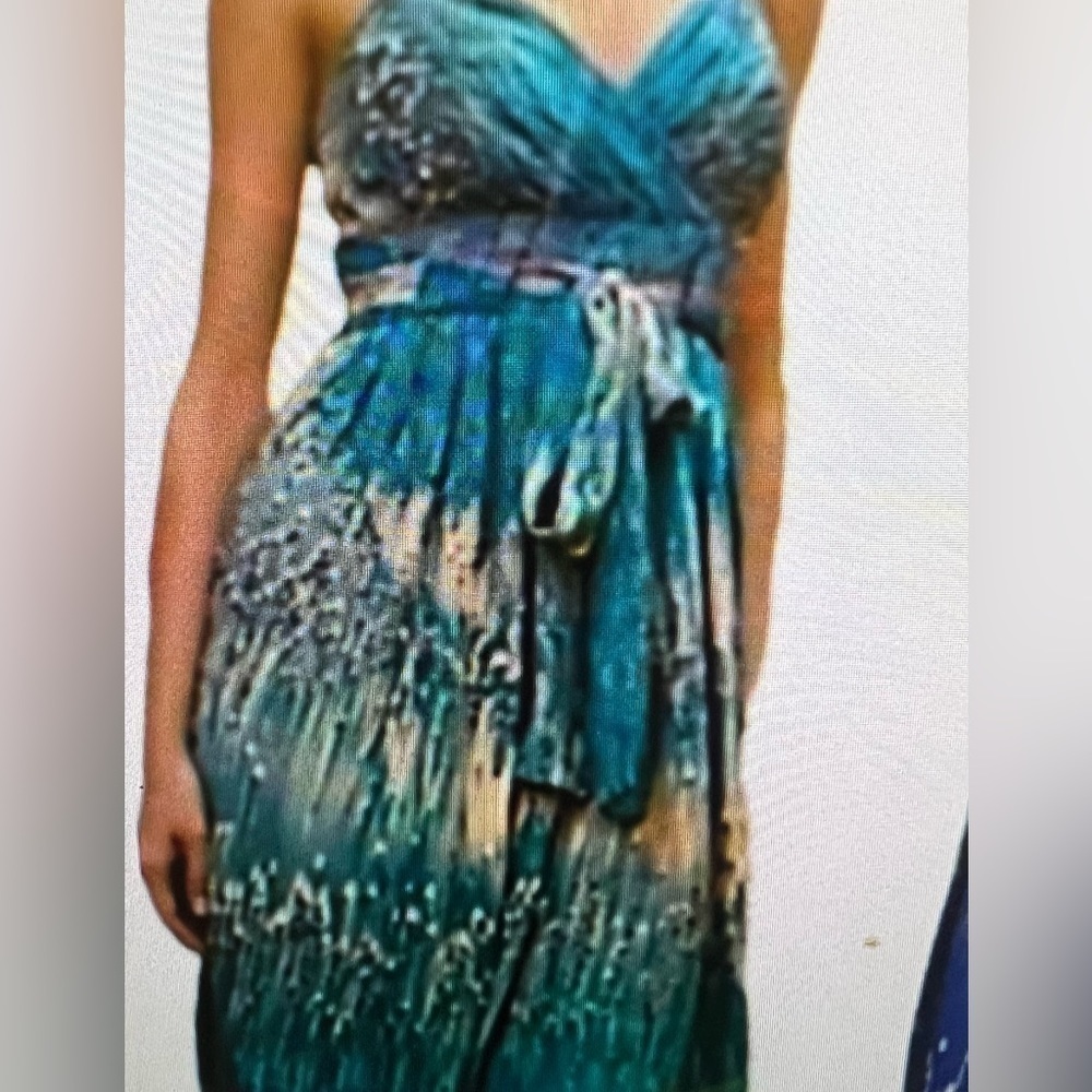 Anthropologie Lil Caballo Falls Blue Silk Watercolor Size 6